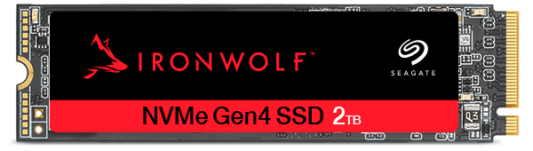 Segate IronWolf SSD M.2